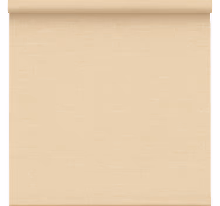 Rolgordijn kantoor eenvoudig beige doorzichtig - TenStickers