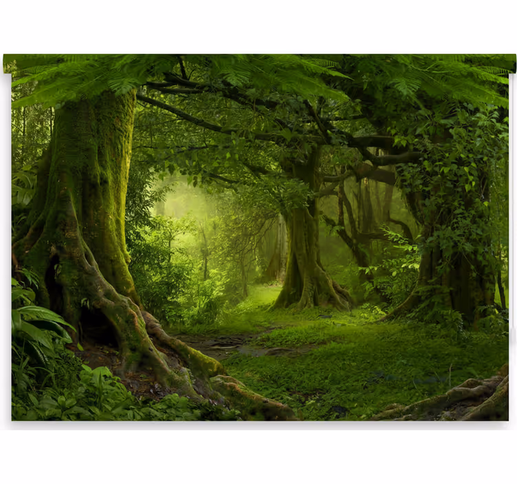 Rolgordijn bomen natuurlijke bosontsnapping - TenStickers