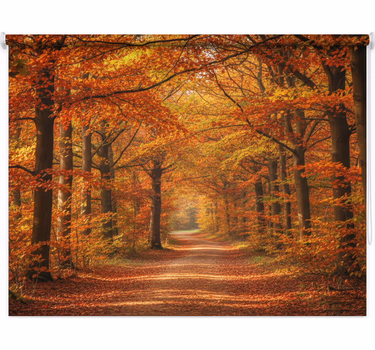 Rolgordijn bomen herfstboompad - TenStickers