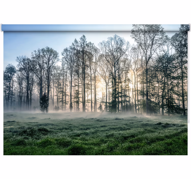 Rolgordijn bomen mistige ochtendweide - TenStickers