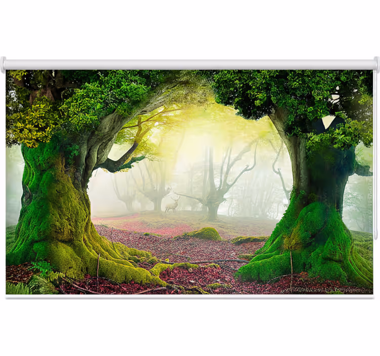 Rolgordijn bomen poort naar het eeuwige bos - TenStickers