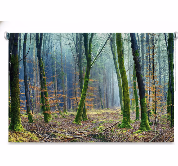 Rolgordijn bomen foggy forest japandi - TenStickers