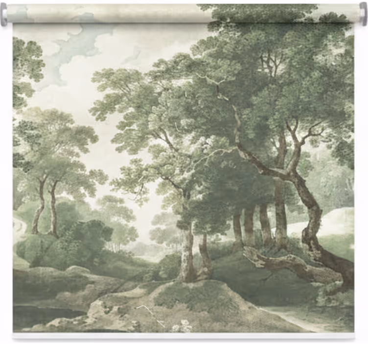 Rolgordijn bomen klassiek tijdloos natuur - TenStickers