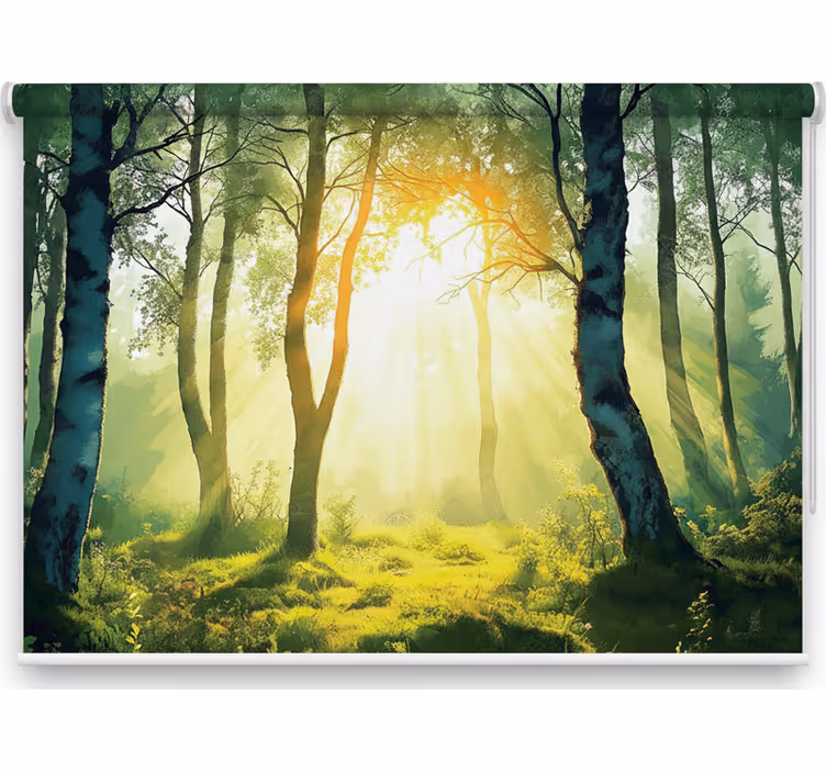 Rolgordijn bomen zonovergoten berkenmuur - TenStickers