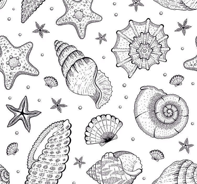 Rolgordijn kantoor zeedieren en schelpen zwart wit - TenStickers