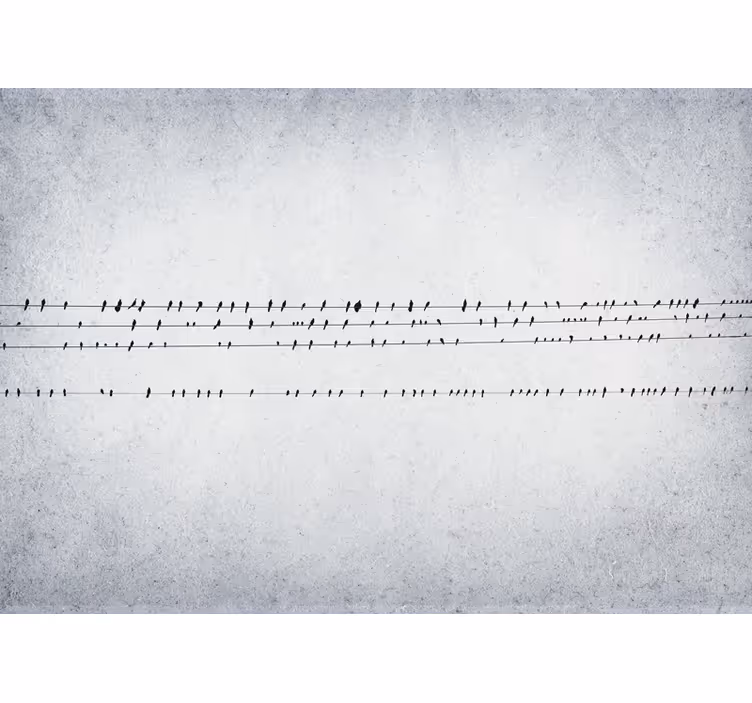 Wit rolgordijn concert van vogels op lijnen - TenStickers