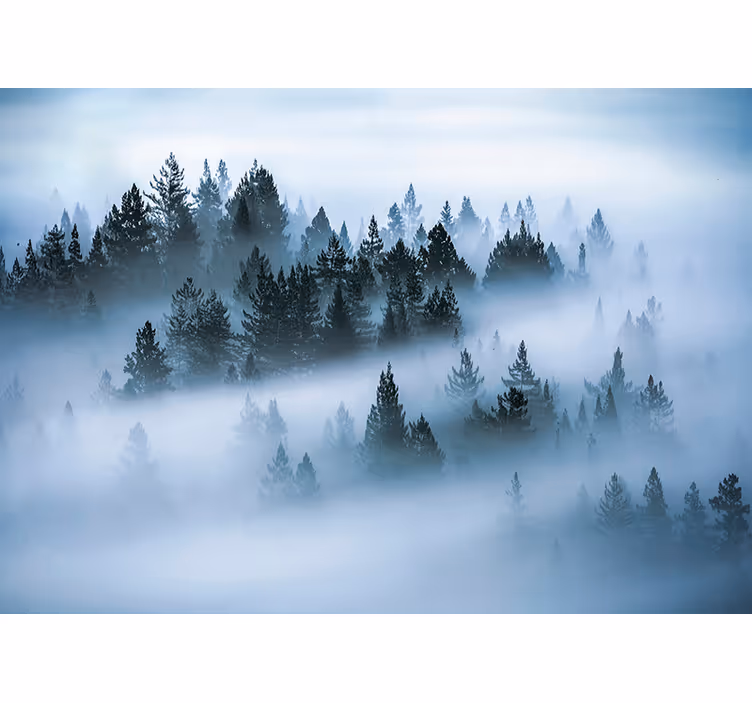 Rolgordijn woonkamer morning fog - TenStickers