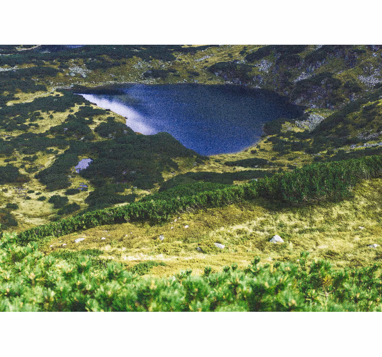 Rolgordijn woonkamer groen poolse tatra - TenStickers