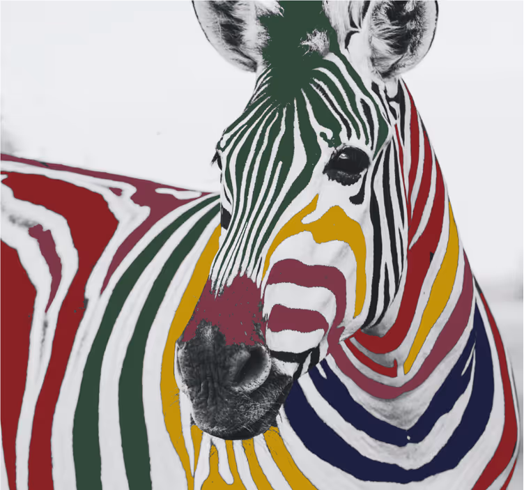Rolgordijn woonkamer kleurrijke zebra schilderij kunst - TenStickers