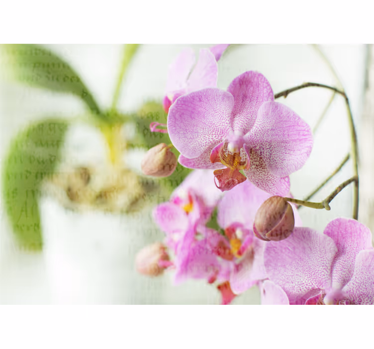 Rolgordijn woonkamer orchidee met tekst - TenStickers