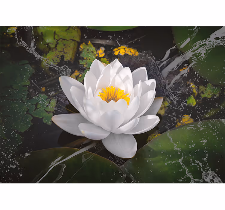 Raambekleding slaapkamer witte en gele lotus - TenStickers