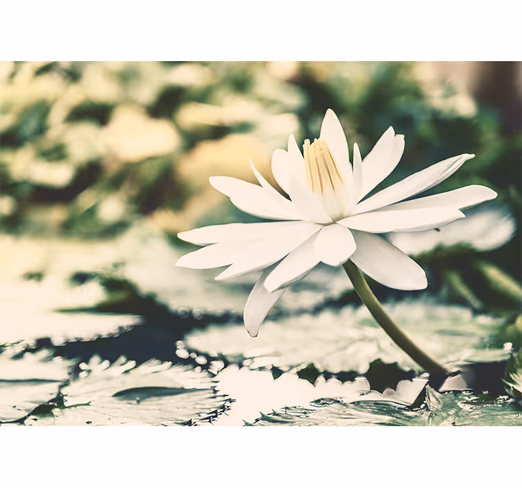Raambekleding slaapkamer white lotus op het meer - TenStickers