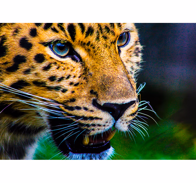 Raambekleding slaapkamer leopard gezicht - TenStickers