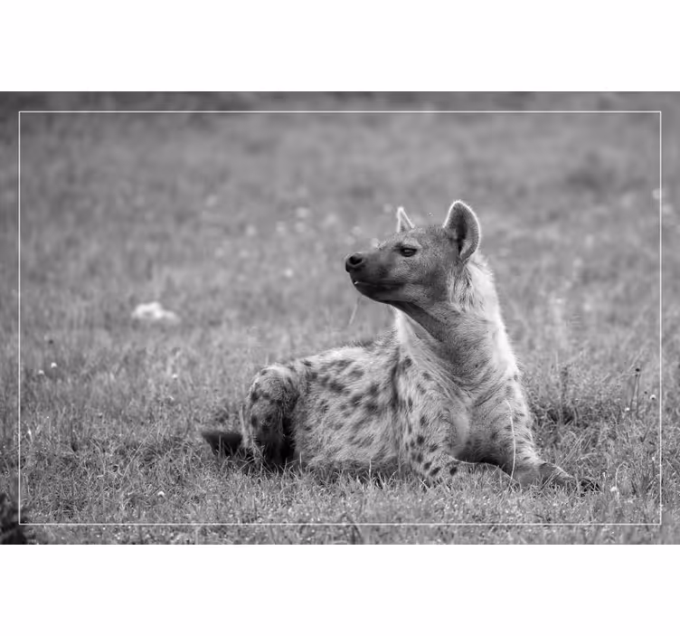 Raambekleding slaapkamer schattige hyena - TenStickers