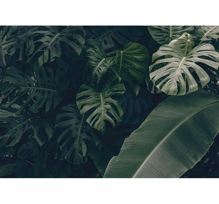 Raambekleding slaapkamer prachtige groene jungle - TenStickers