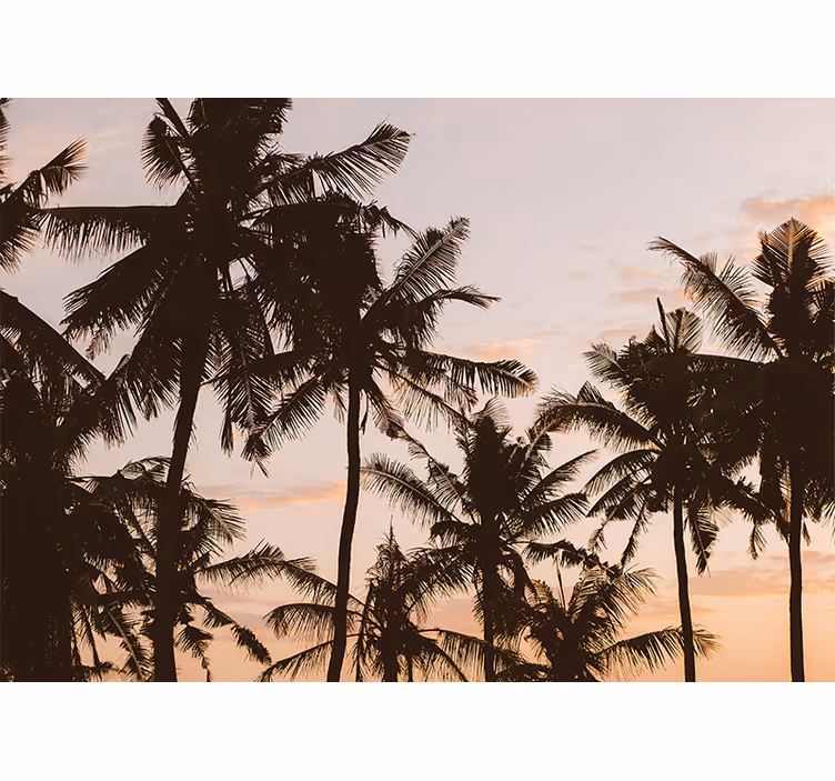 Raambekleding slaapkamer sunset palmboom - TenStickers