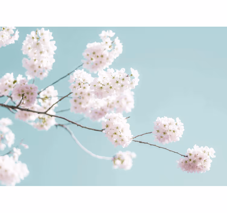 Wit rolgordijn elegant en vrouwelijk bloemenontwerp - TenStickers