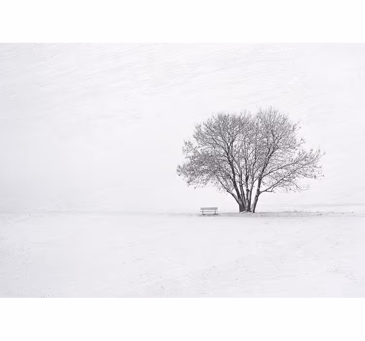 Wit rolgordijn scandinavische stijl winter sneeuwboomdesign - TenStickers