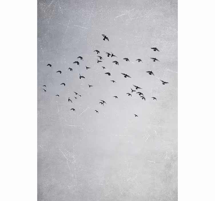 Raambekleding slaapkamer vogels in de lucht - TenStickers