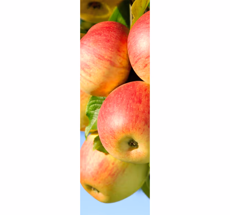 Rolgordijn keuken decoratieve appels aan boom - TenStickers