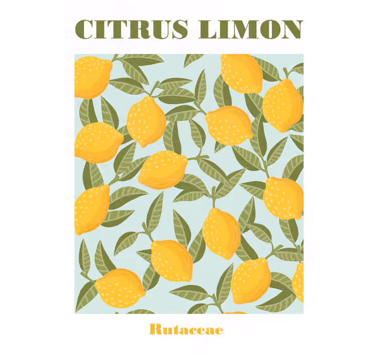 Rolgordijn keuken lemonfruit - TenStickers