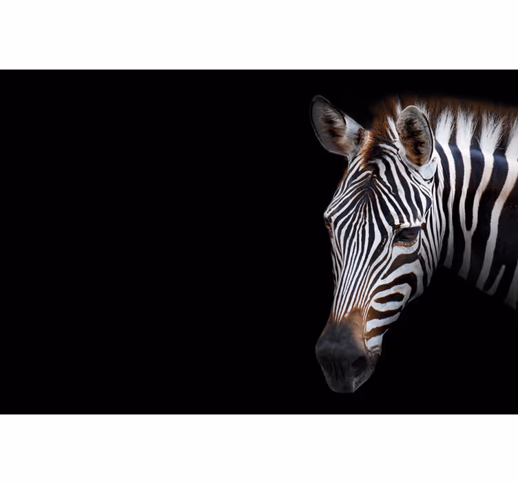 Zwart rolgordijn zebra afbeelding - TenStickers