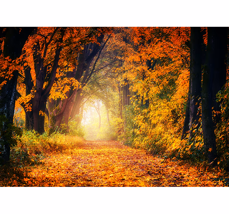 Raambekleding slaapkamer herfst kleurrijk bos - TenStickers