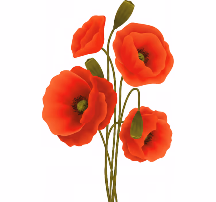 Rolgordijn bloemen klaprozen - TenStickers