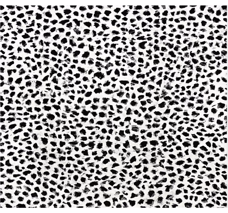 Zwart rolgordijn monochrome luipaardprint - TenStickers
