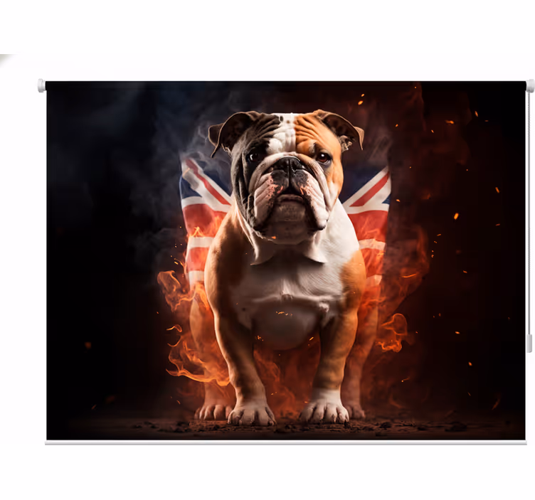 Rolgordijn tienerkamer britse bulldog in vlammen - TenStickers