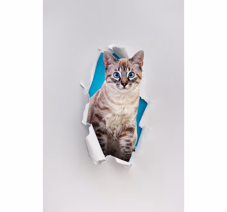 Rolgordijnen woonkamer met kat - TenStickers