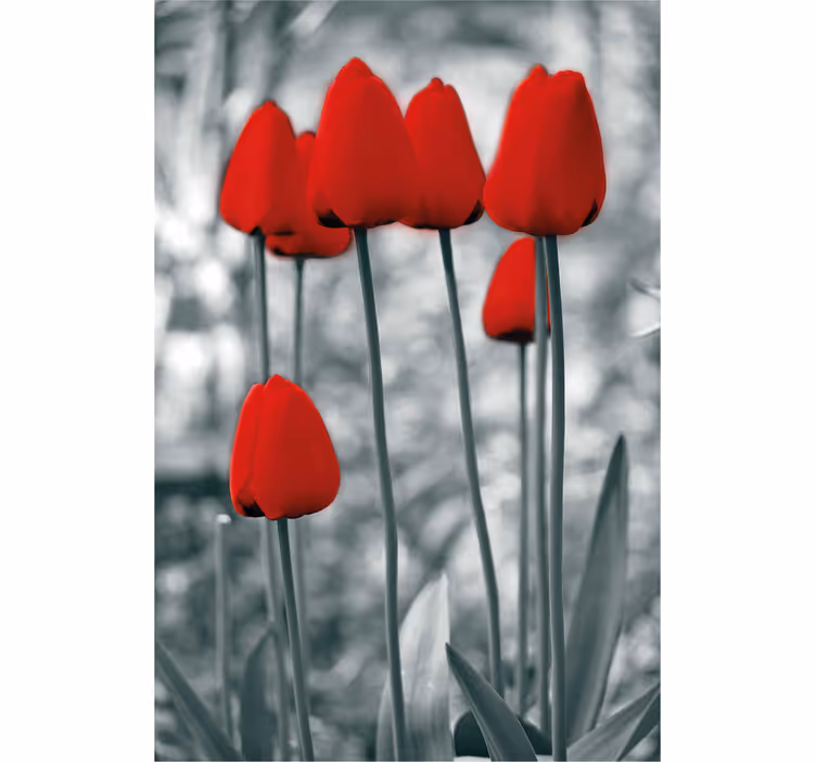 Rolgordijn bloemen Rode tulpen kleurrijk - TenStickers