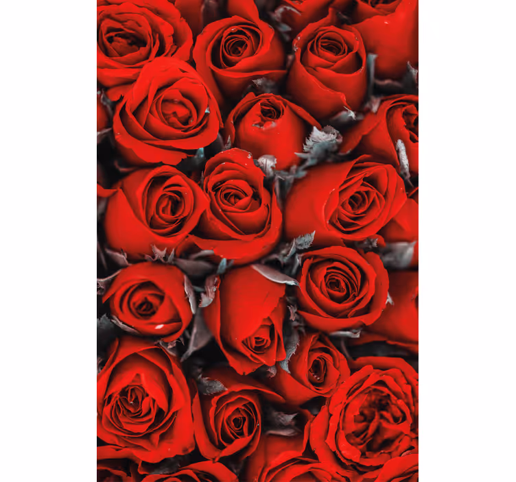 Rolgordijn keuken bloemenprint Rode rozen romantisch - TenStickers
