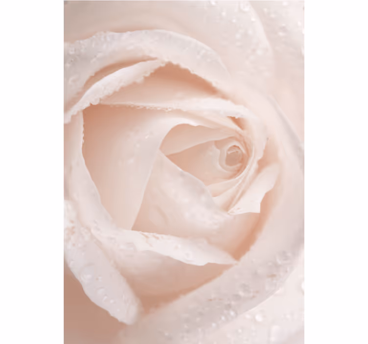 Delicate rozenblaadje rolgordijn bloemen - TenStickers
