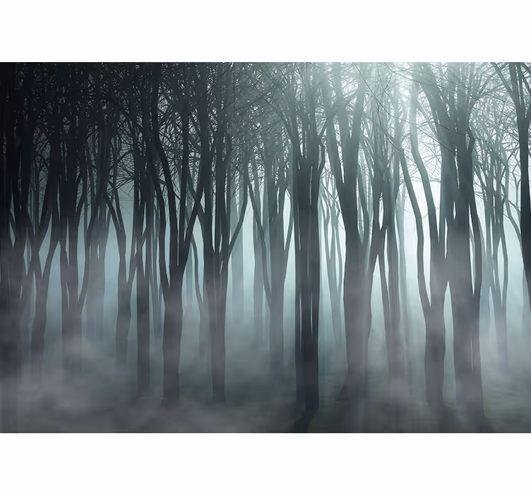 Mistig bos silhouet rolgordijn bomen - TenStickers