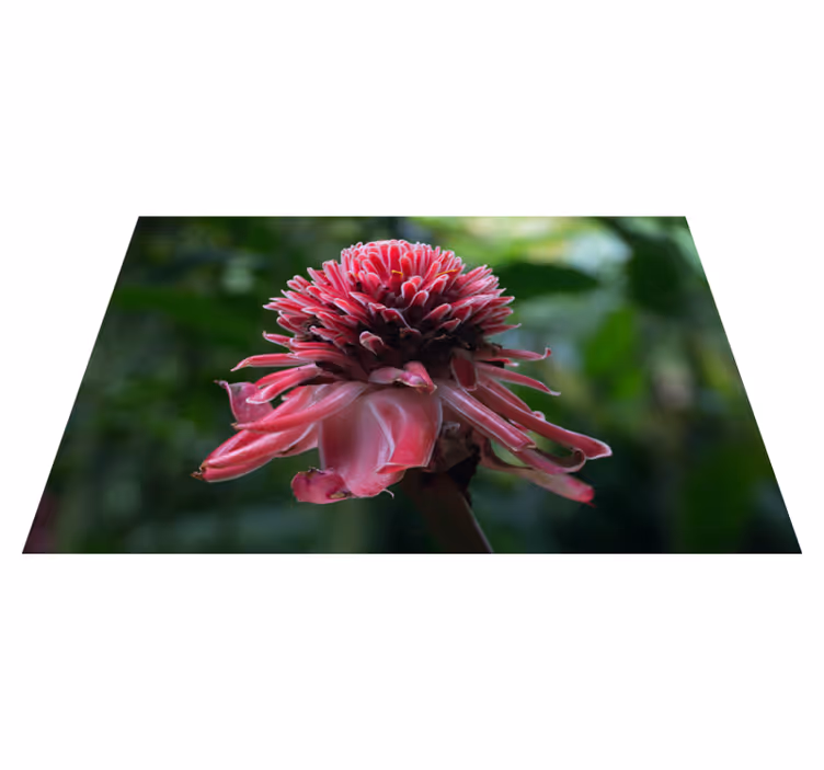 Originele placemat tropisch bloemarrangement - TenStickers