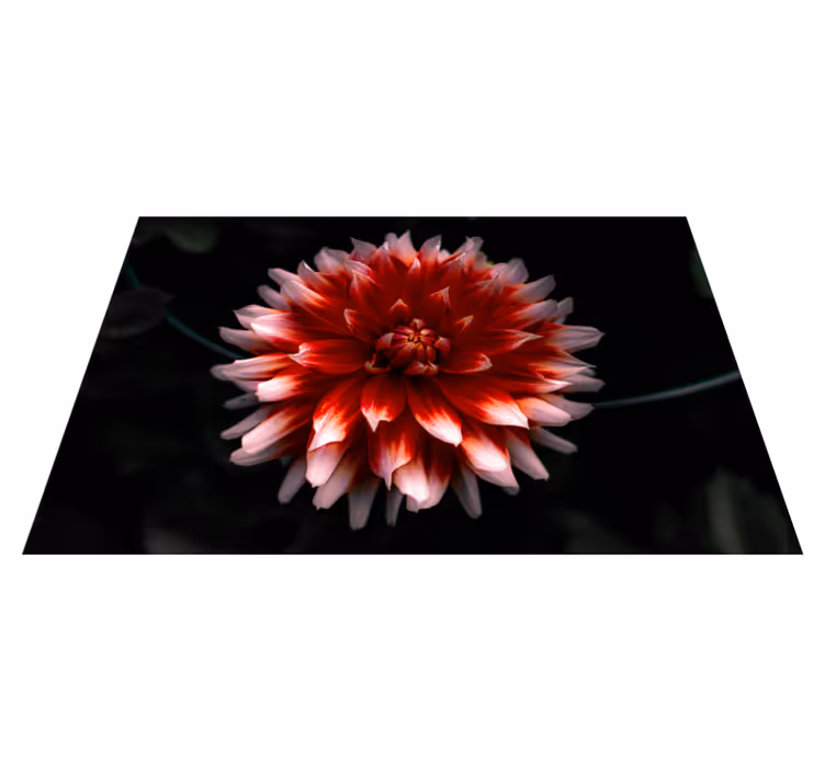 Originele placemat crispy zeewiergerecht - TenStickers