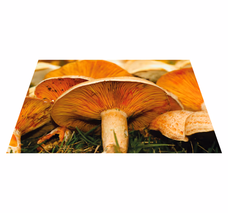 Originele placemat champignons met ramen - TenStickers