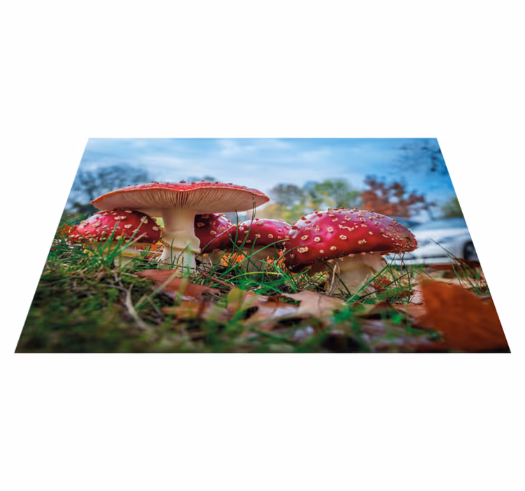 Moderne placemat paddenstoel culinaire scene - TenStickers