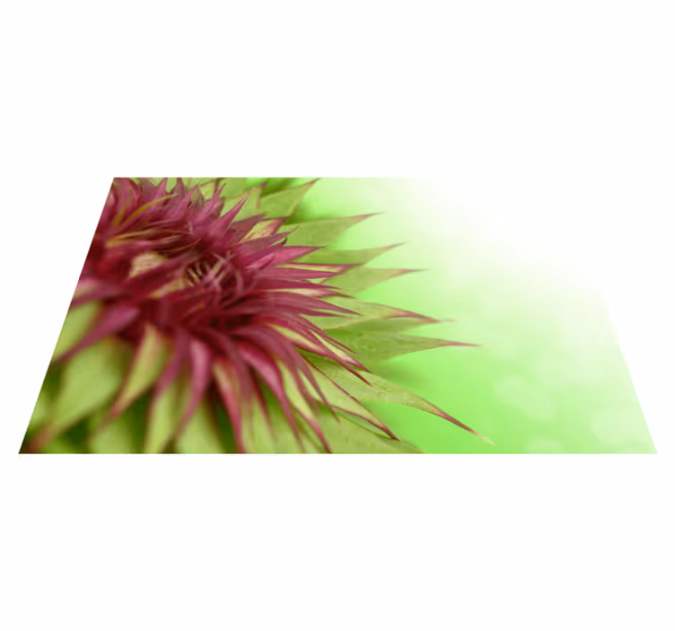 Stijlvolle distel placemat - TenStickers
