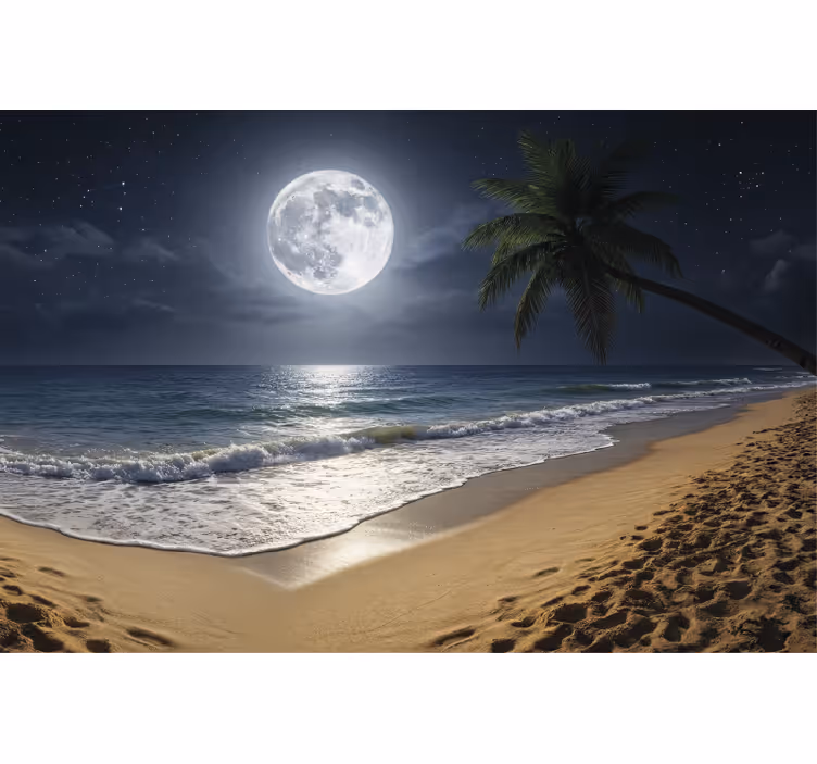 Fotobehang zee volle maan oceaan - TenStickers