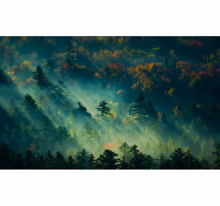 Behang bos the moody forest - TenStickers
