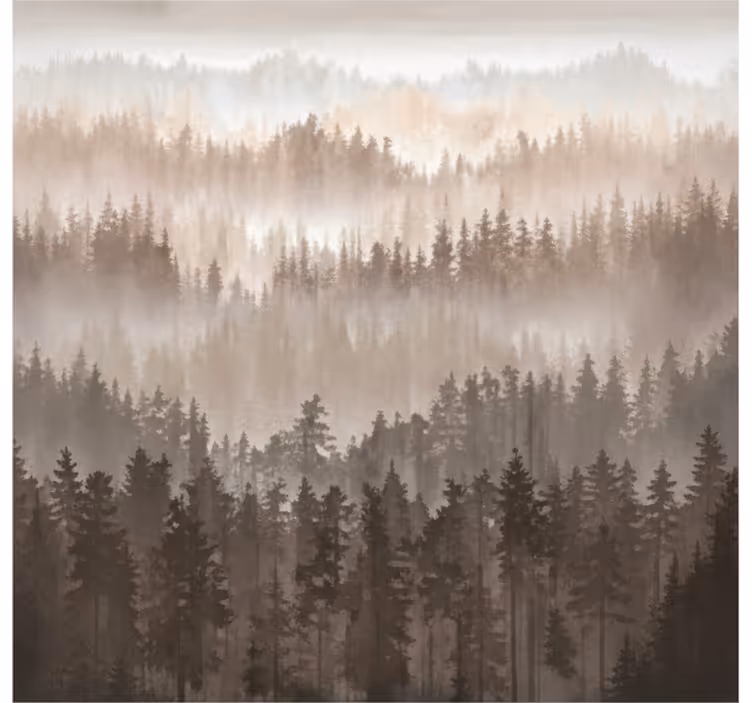 Fototapet landschap houten boslagen - TenStickers
