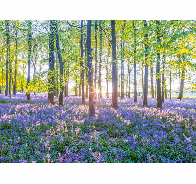 Behang bos natuur geïnspireerd modernisme - TenStickers
