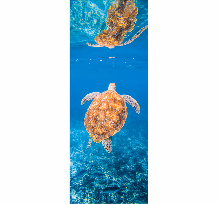 Fotobehang badkamer mooie schildpad onderwater - TenStickers