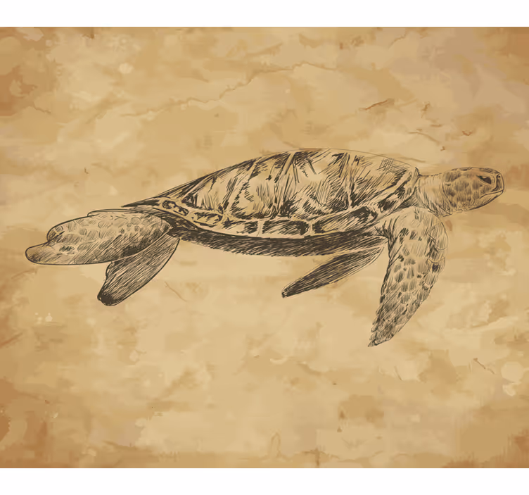 Beige fotobehang schildpad illustratie - TenStickers
