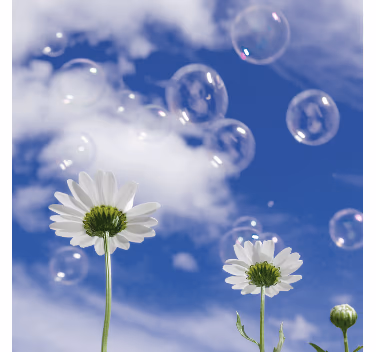 Fotobehang blauw met madeliefjes en bellen - TenStickers
