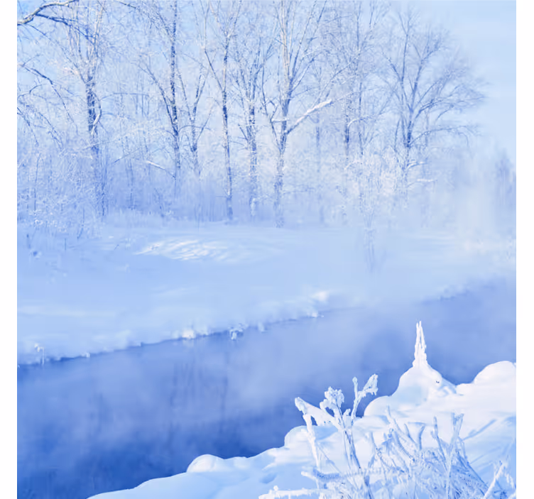 Fotobehang blauw witte bevroren bomen en rivier - TenStickers