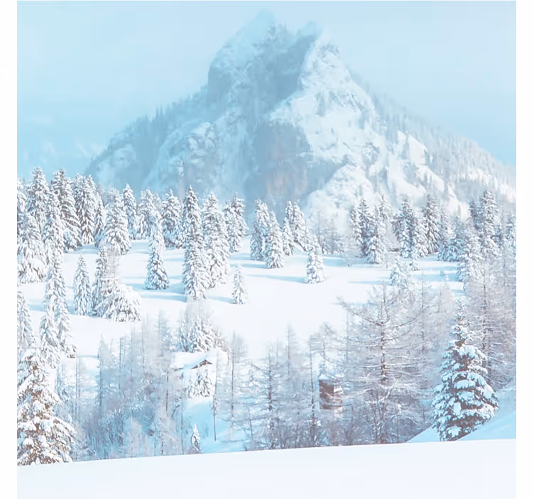 Fotobehang blauw winterse esthetische fotografie - TenStickers