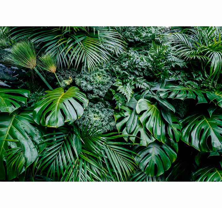 Foto behang groen sunny jungle - TenStickers